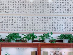 -北京德尔康尼骨科医院