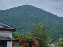 -石塘人家