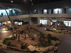 -自贡恐龙博物馆