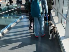 -约翰·菲茨杰拉德·肯尼迪国际机场