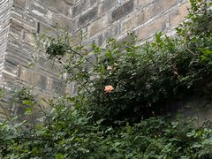 -老门东历史文化街区