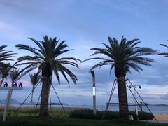 -大梅沙海滨公园