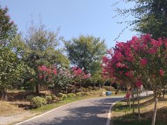 -武汉紫薇都市田园