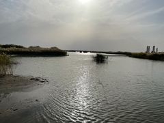 -亿利库布其七星湖沙漠生态旅游区