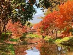 -田野绿世界