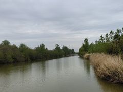 -盐城丹顶鹤湿地生态旅游区