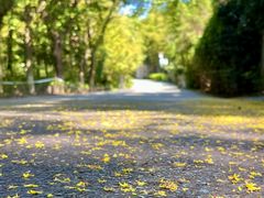 -百万叔(临湖店)