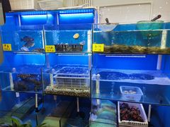 水产区-盈田盈粥庄(博山东路店)