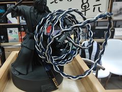 -北京天域联达耳机店(财智国际大厦店)