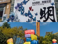 -昆明动物园