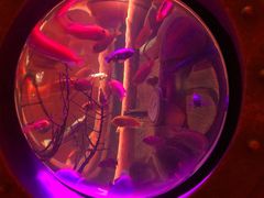 -沈阳海洋探索中心