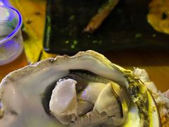 -土蚝·高压锅生蚝(百姓美食街店)
