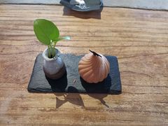 香草西番莲牛奶巧克力慕斯-Tian品