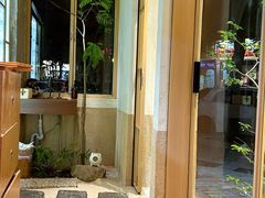 -真打拉面·日式拉面新流派(体育西横街店)