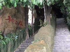 -吉林省自然博物馆