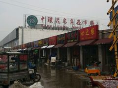 -中环花鸟鱼虫市场