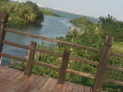 -丫丫蟹庄·苏式园林农家乐·阳澄湖大闸蟹(阳澄湖莲花岛店)