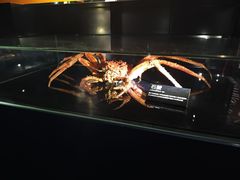 -同济大学四平路校区深海探索馆