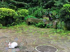 -法云古村
