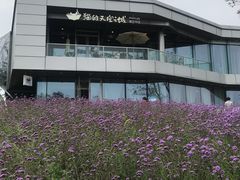 -猫的天空之城概念书店(北戴河蔚蓝海岸店)