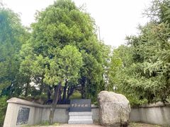 -黄帝陵
