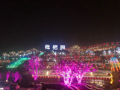 -枇杷园食为鲜火锅(南山店)