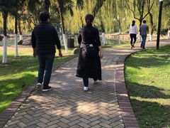 -后襄河公园