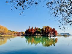 -贡湖湾湿地公园