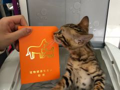 -北京赛佳动物医院