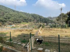 -趣多多宠物公园·宠物训犬学校·宠物寄养