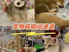 -天津国贸购物中心