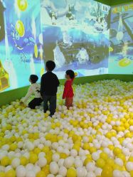 点击看大图 -宝燕乐园(闵行旗舰店)