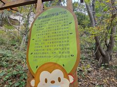 -大岭沟猕猴桃谷风景区