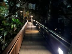 -三亚亚龙湾人间天堂鸟巢度假村