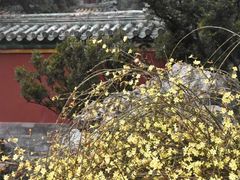 -北京植物园南门售票处