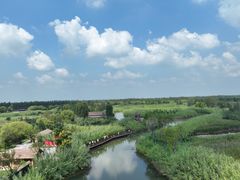 -泗洪洪泽湖湿地景区