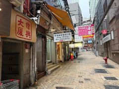 -珍妮曲奇聪明小熊(上环店)