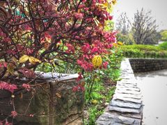 -苏州河梦清园环保主题公园