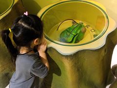 -上海昆虫博物馆