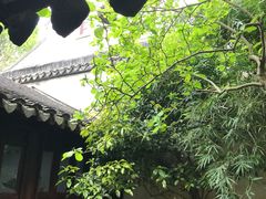 -苏州园林博物馆
