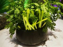 -新辣道鱼火锅(航天万源店)