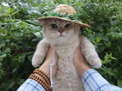 -Yee3·三号椰(上海中山公园龙之梦店)