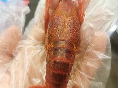 -金陵暴走小龙虾·迷踪蟹(凯德MALL店)