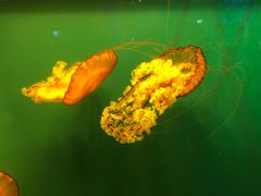 -华夏文旅西安度假区