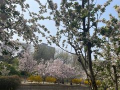 -海棠花溪(元大都城垣遗址公园)