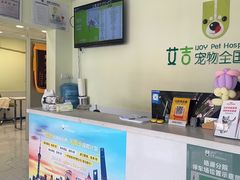 -艾吉宠物医院·疑难杂症转诊中心·猫友好(碧江路院)