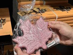 -Laderach 莱德拉(上海环贸iapm店)