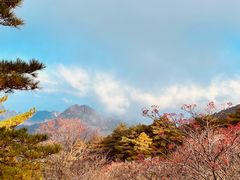 -黄山风景区