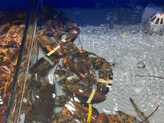 -船家渔(徐州北路店)