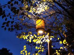 -长春市南湖公园